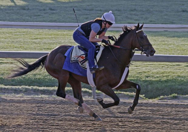 Preakness preparations